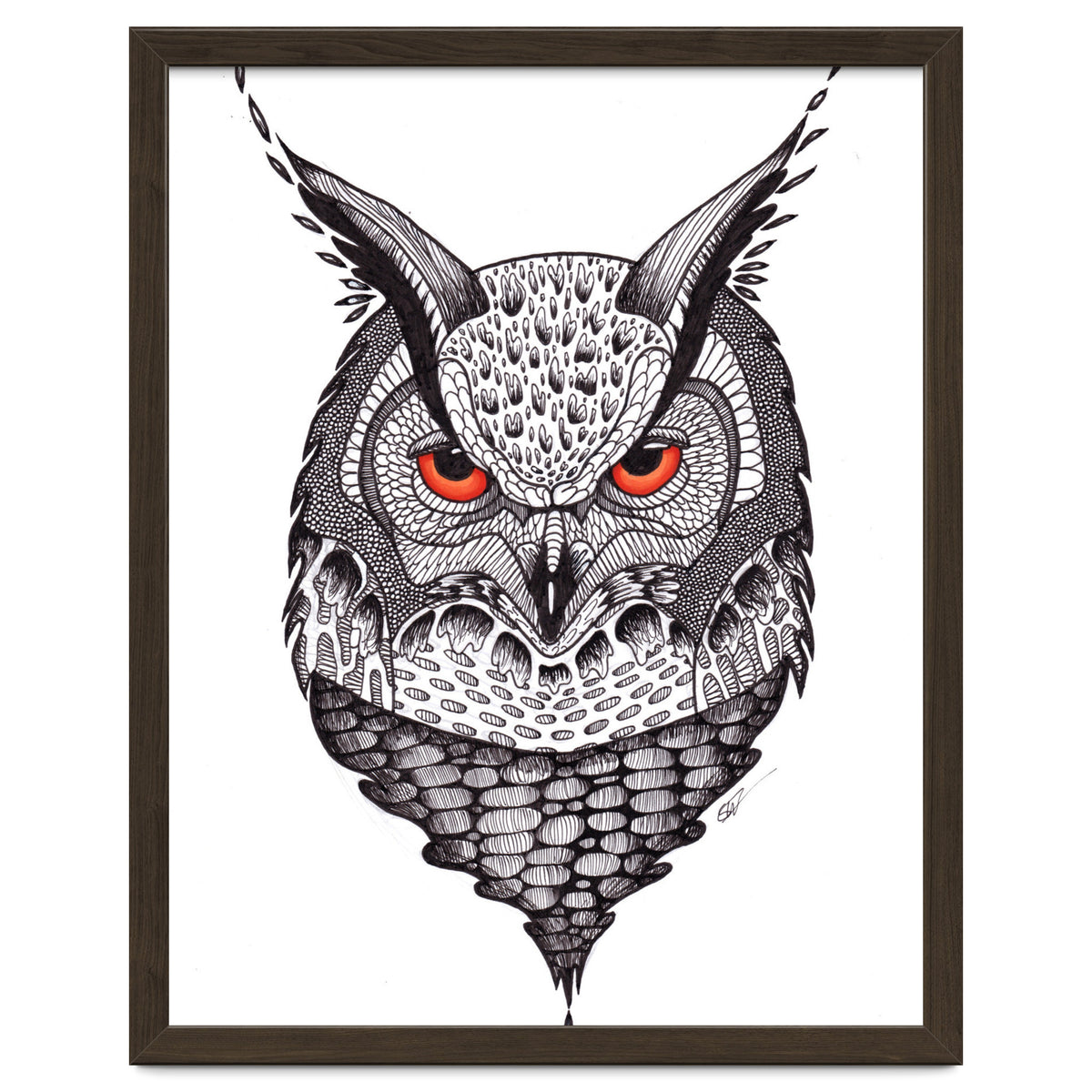 Owl