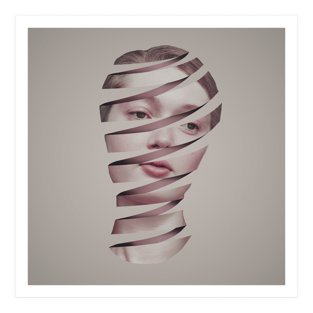 Decisions (Print Only)