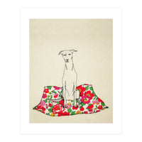 The Whippet (Print Only)