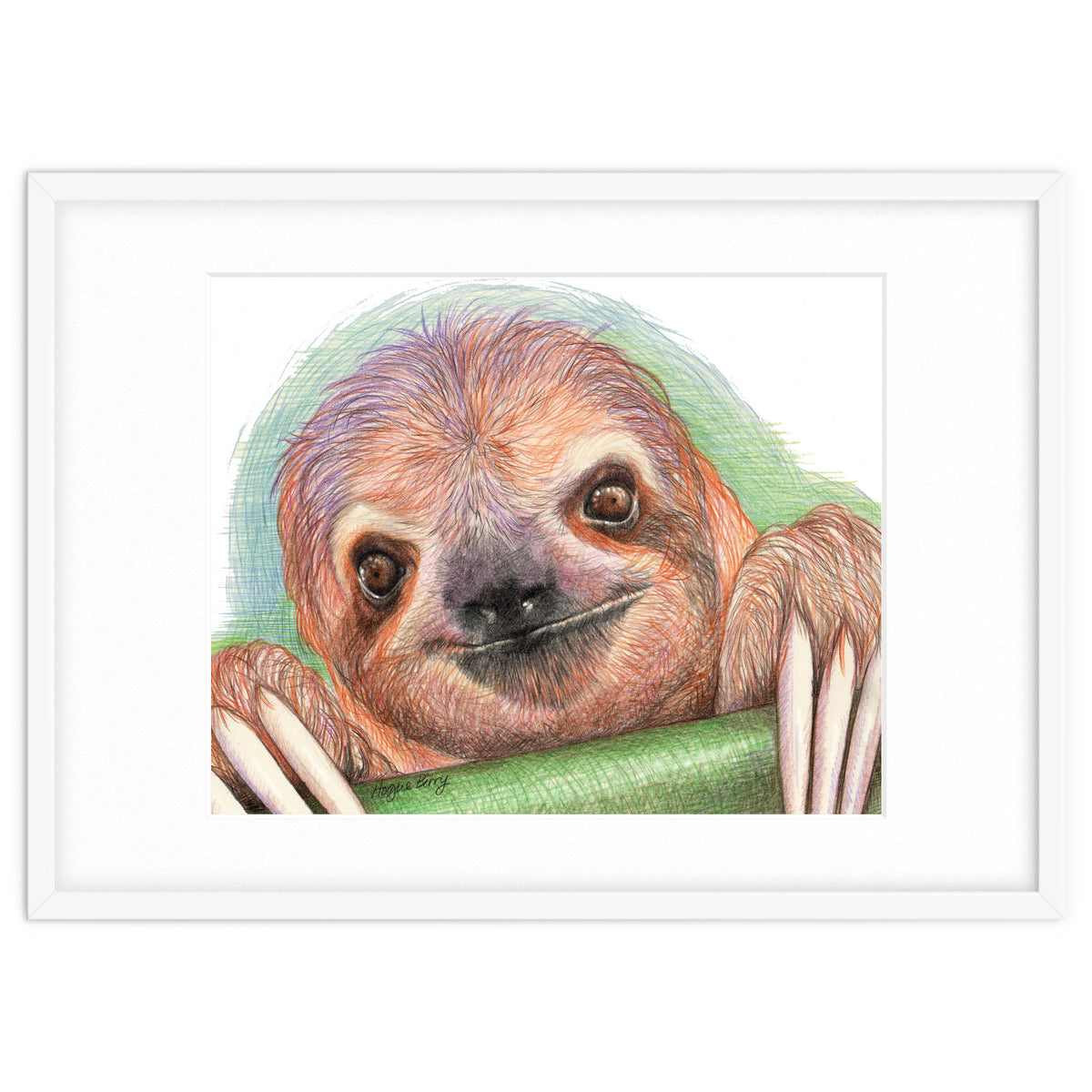 Smiling Sloth