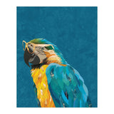 Macaw Portrait Blue Gold Glasses (Print Only) thumbnail