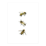 The 3 Bee's (Print Only) thumbnail