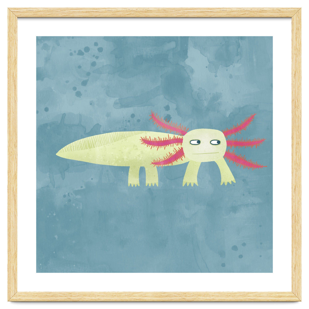 Axolotl