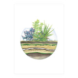 A Little Green Terrarium (Print Only) thumbnail