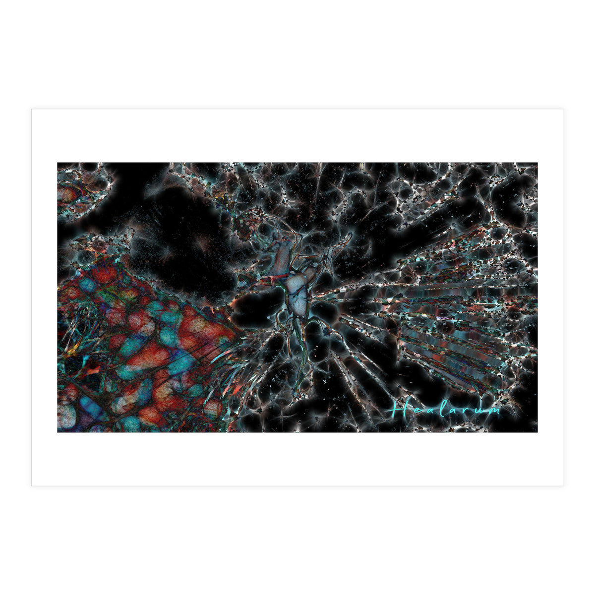 Torn Apart (Print Only)