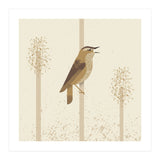 Sedge Warbler (Print Only) thumbnail