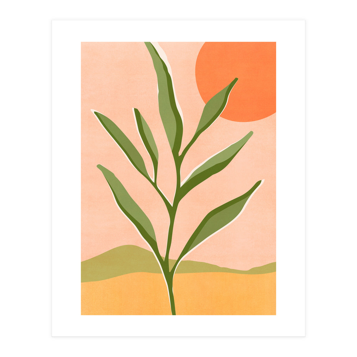 The Sun and The Succulent (Print Only)