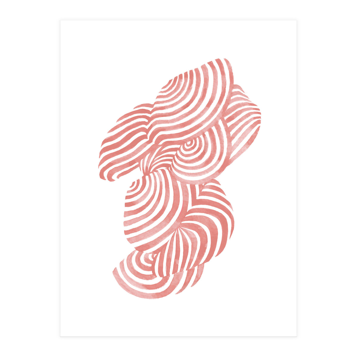 Seashells (Print Only)