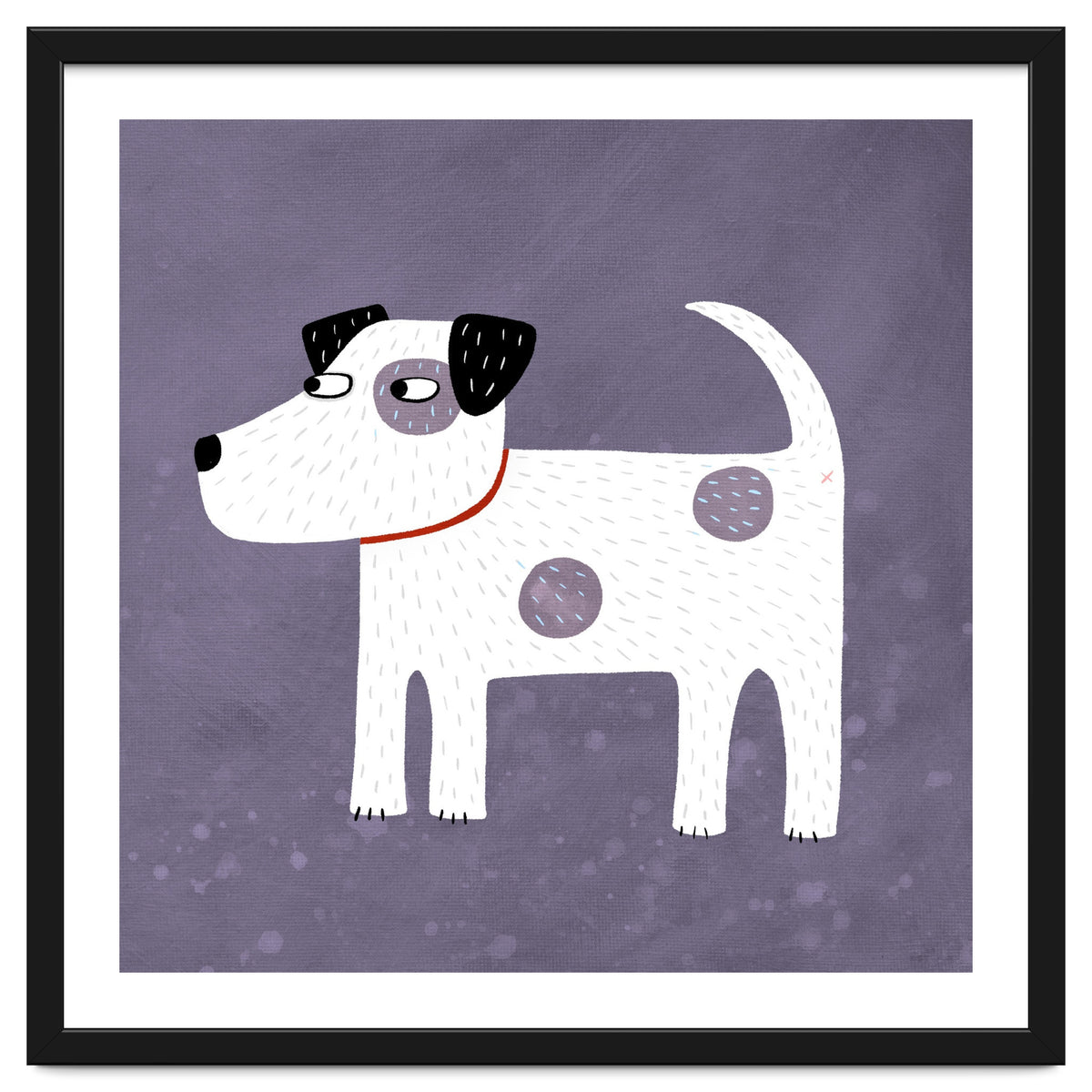 Jack Russell Terrier