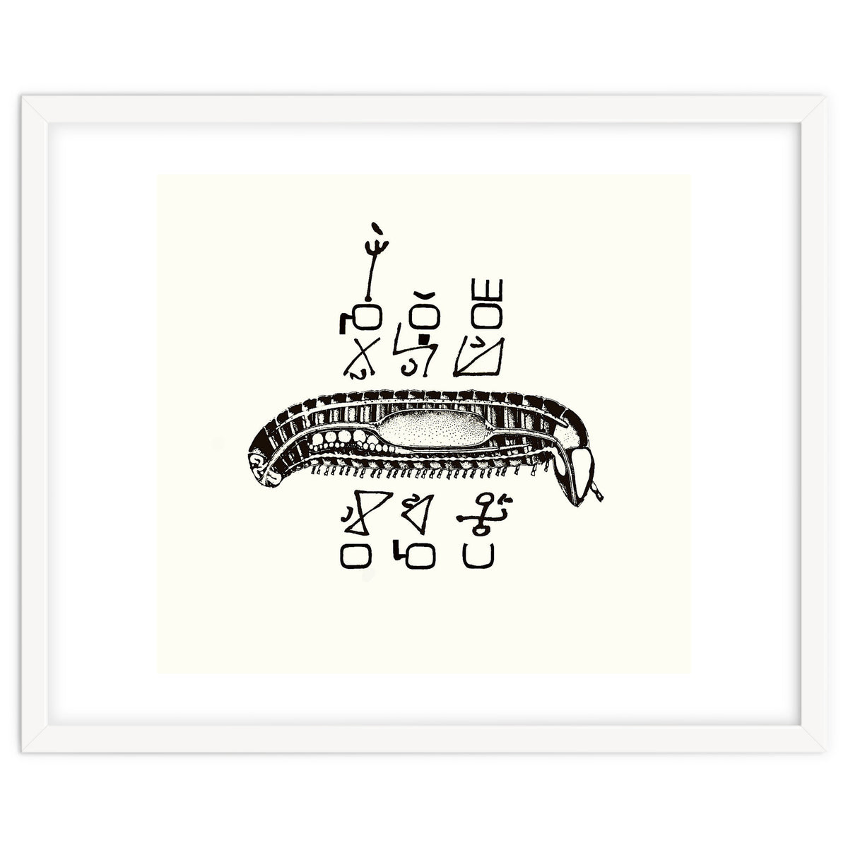 Diplopod David Felix