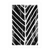 Botanicals Collection No8 (Print Only) thumbnail