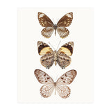 Cc Butterflies 06 (Print Only) thumbnail