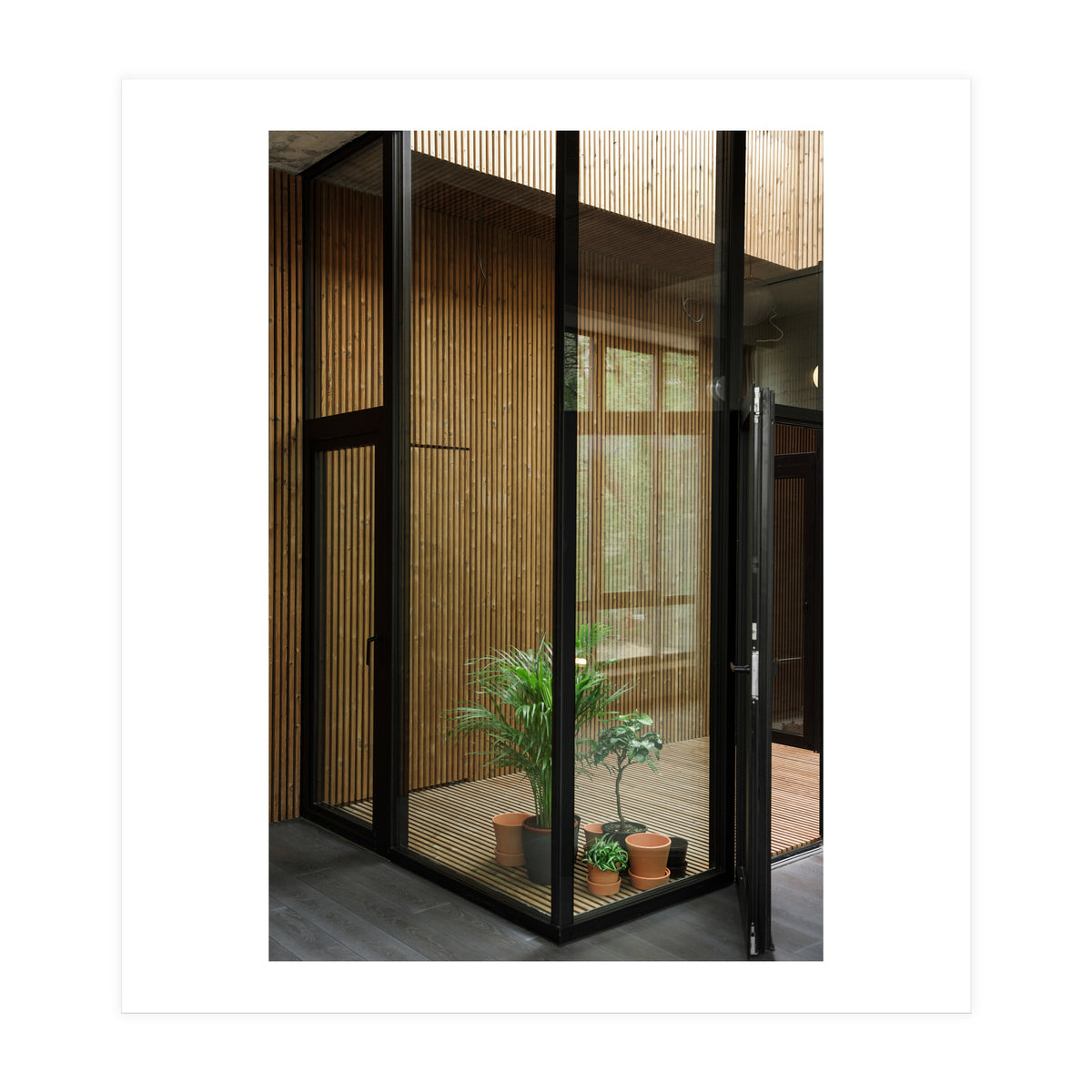 Public Place at my House (Print Only)