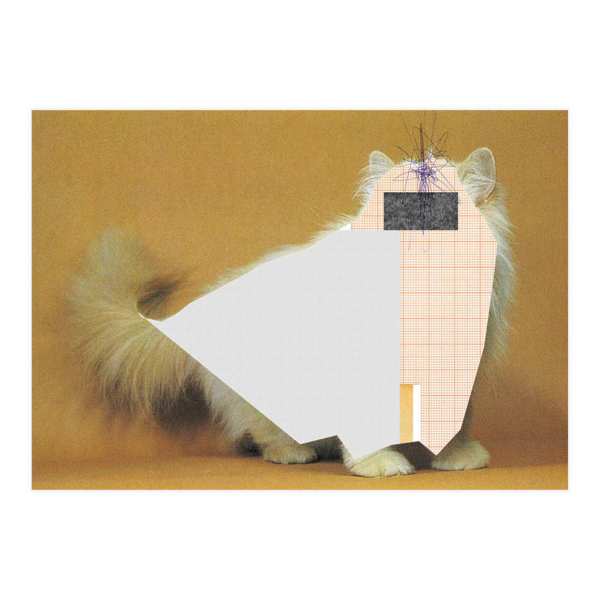 Content Of The Cat 1 (Print Only)