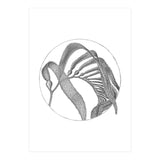 P.O. Blue Carbon (Print Only) thumbnail