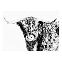 Highland bull (Print Only)