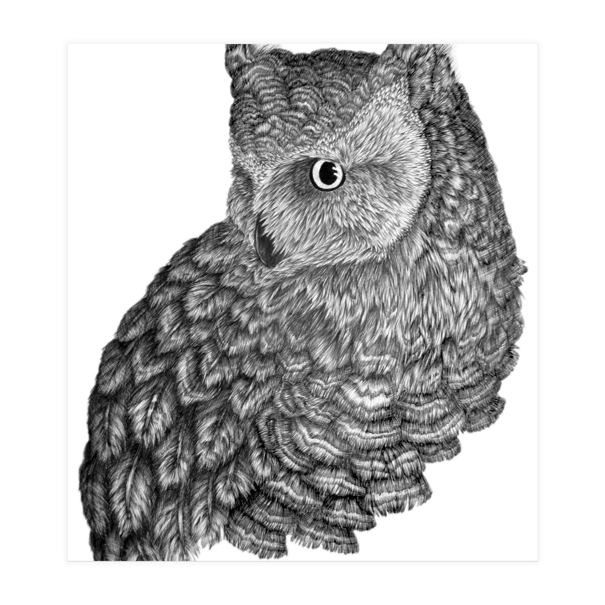 A Friend For Forsythe (Print Only)