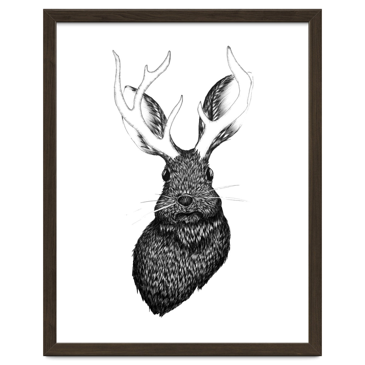 Jackalope