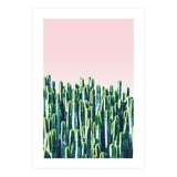 Cactus & Sunset I (Print Only) thumbnail