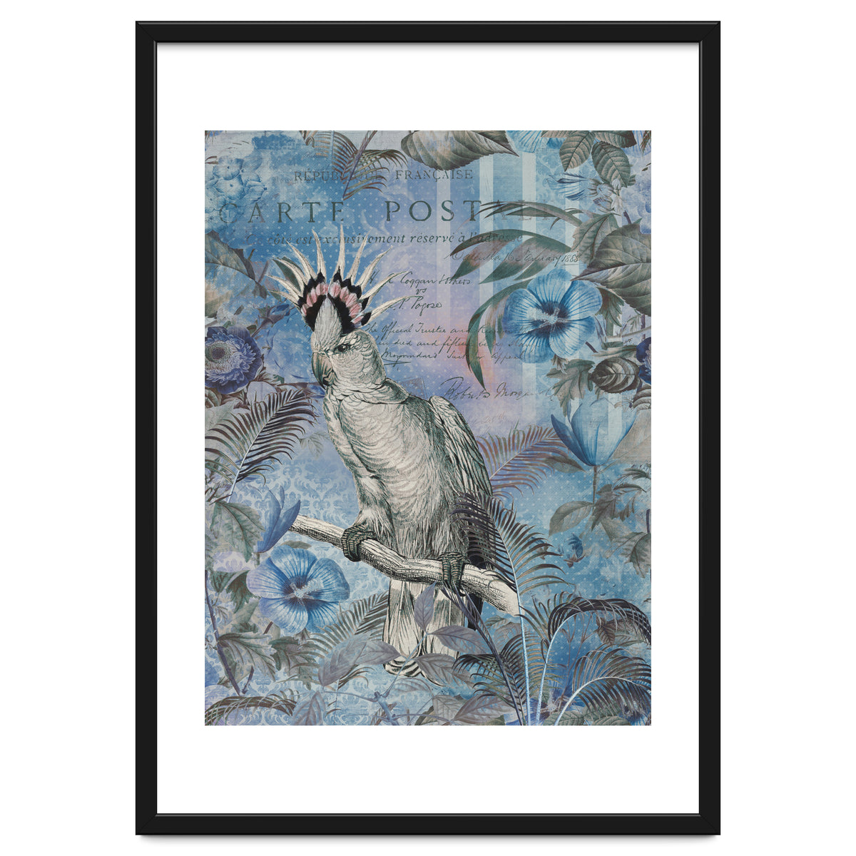 Jungle Cockatoo Blue