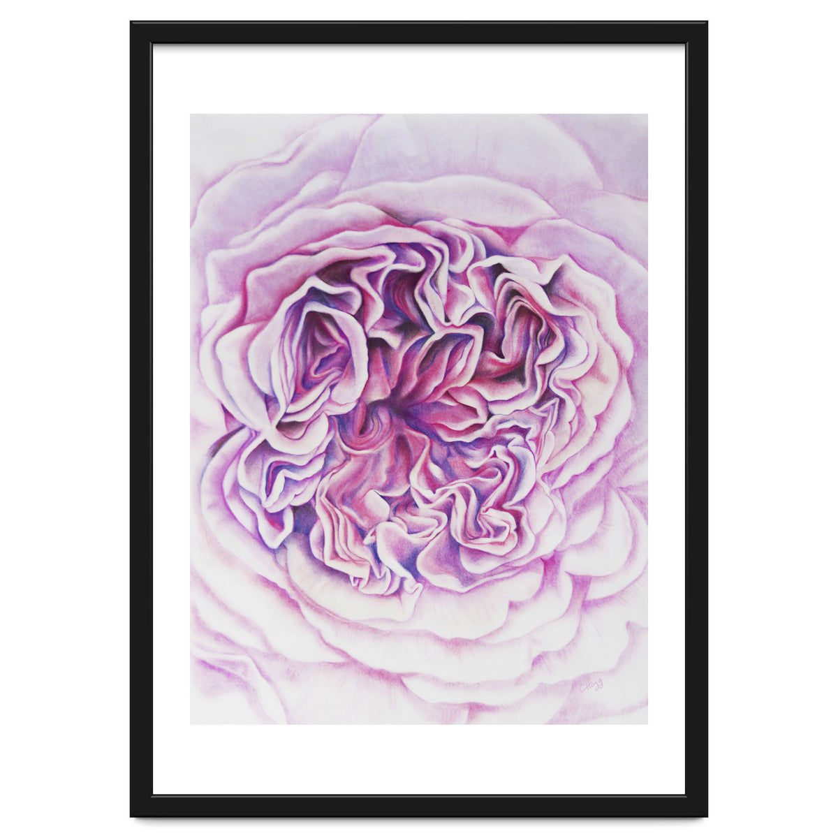 A Rose Is A Rose Std