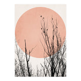 Sunset Dreams Rose (Print Only) thumbnail