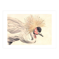 Crowned Crane (Print Only)