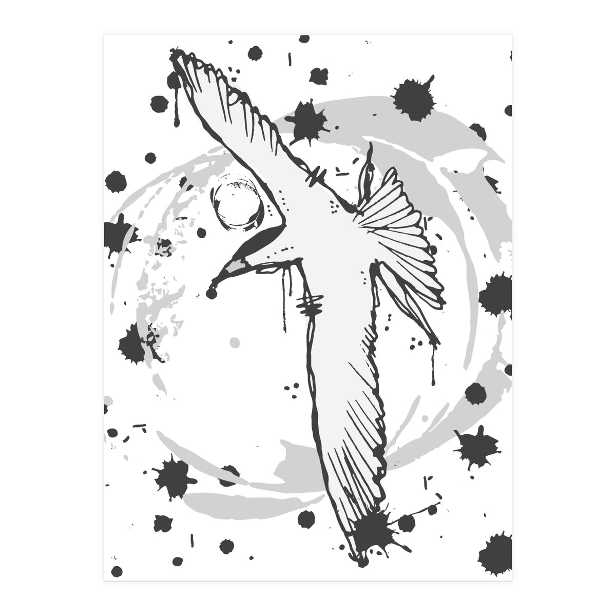 Fairy Tern Sketch (Print Only)