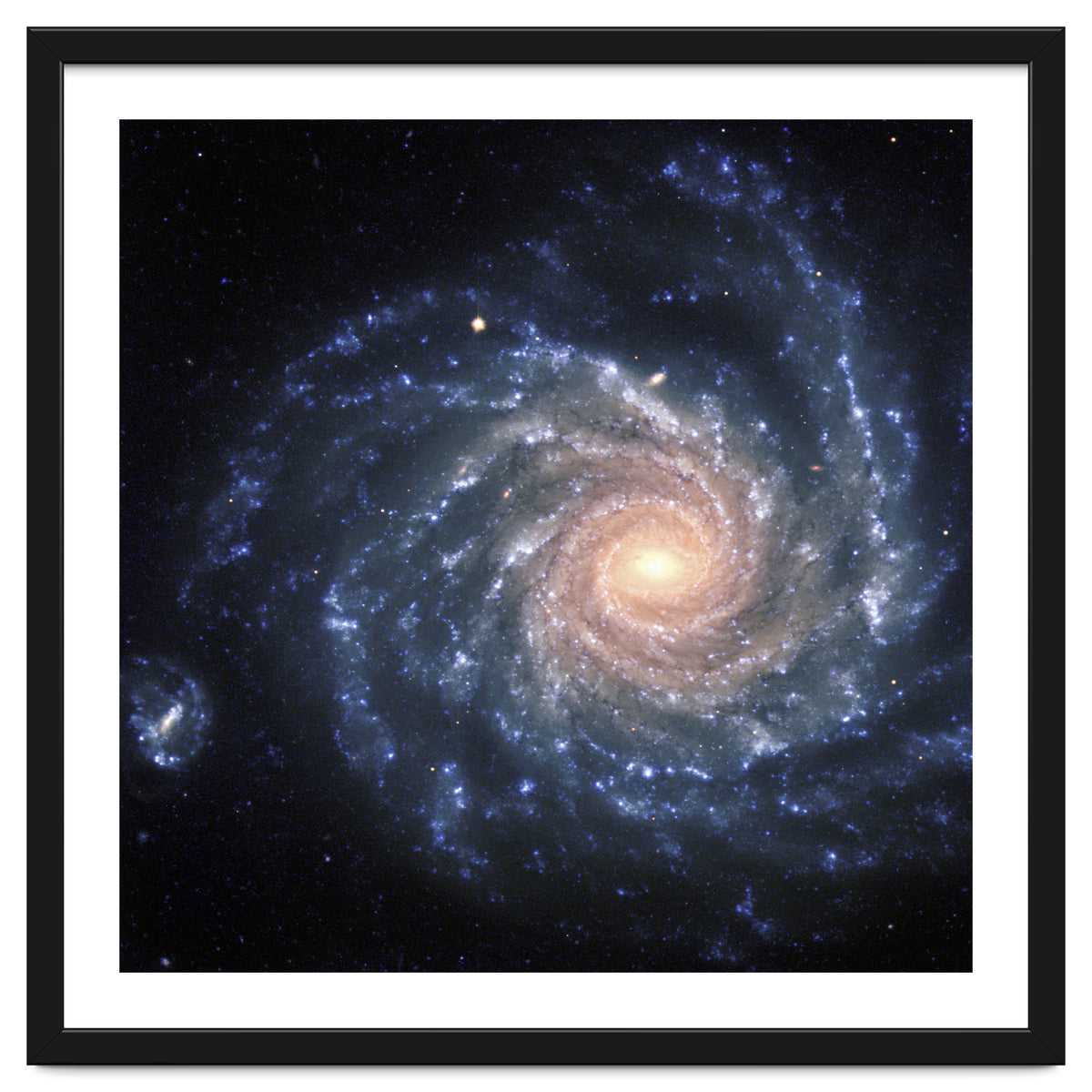 Spiral Galaxy NGC 1232