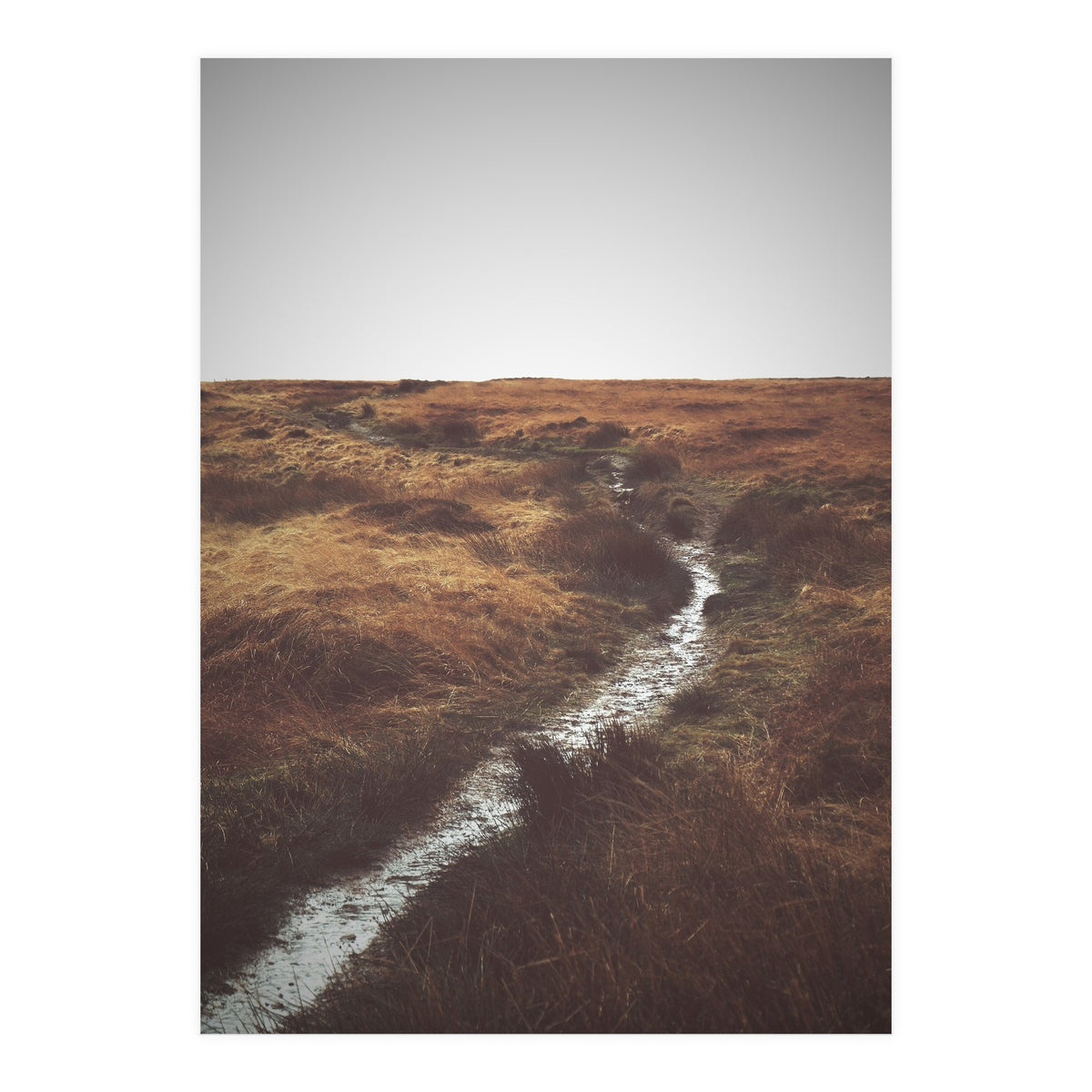 Bleak winter landscape of Saddleworth Moor  (Print Only)