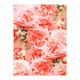 Fiona II (Print Only) thumbnail