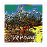 Colorful Olive tree in Verona, Italy. (Print Only) thumbnail