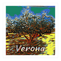 Colorful Olive tree in Verona, Italy. (Print Only)