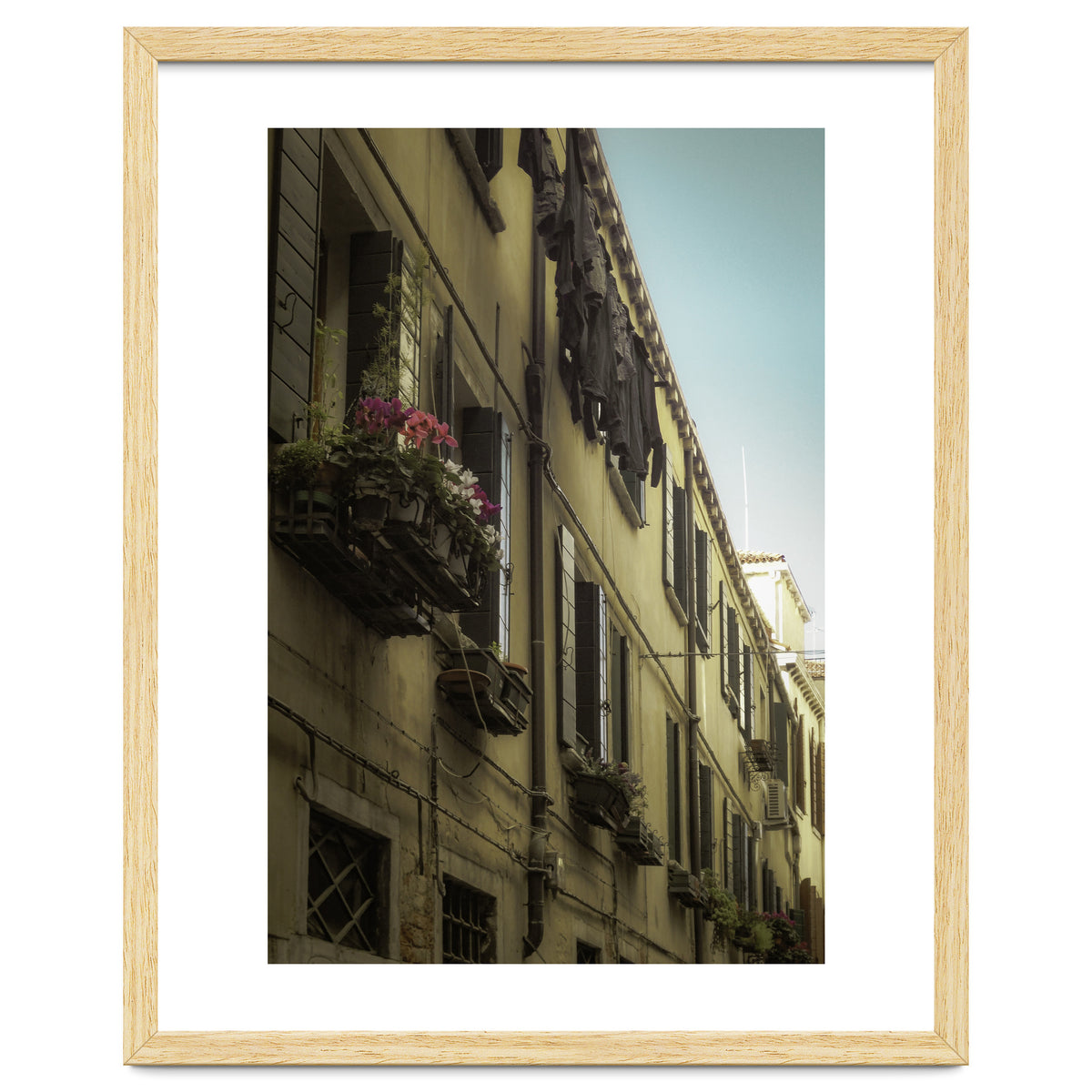 Windows From Tuscany 1