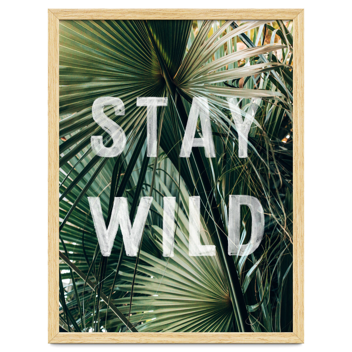 Stay Wild