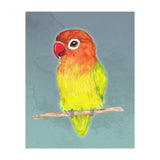 Cute yellow Fischer's lovebird (Print Only) thumbnail