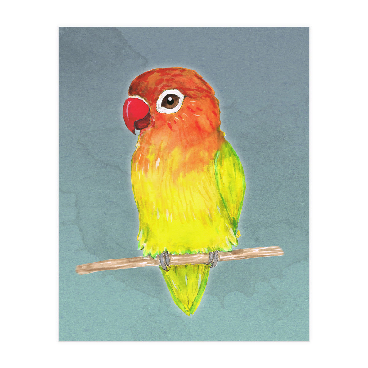 Cute yellow Fischer's lovebird (Print Only)
