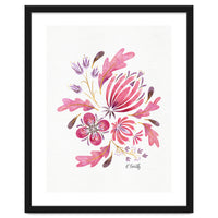 Protea | Floral Pink