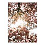Magnolia tree (Print Only) thumbnail