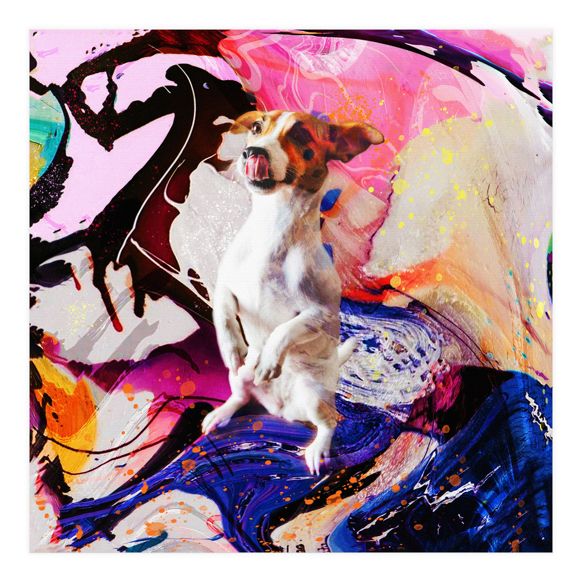 Zycko Color Dog 4 (Print Only)