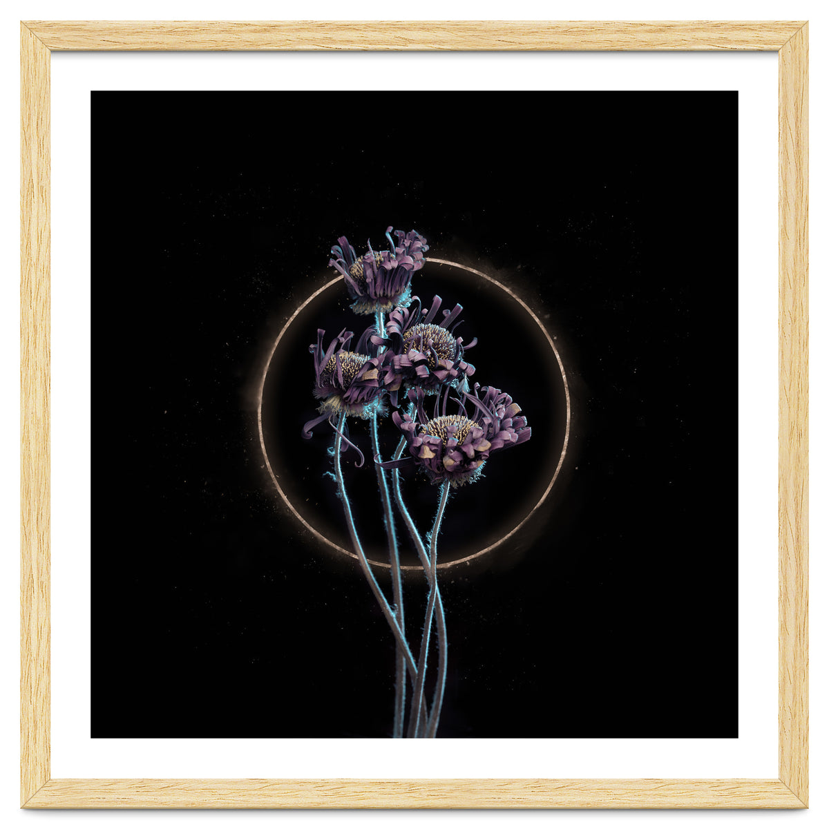 Candy-Coloured Mystery