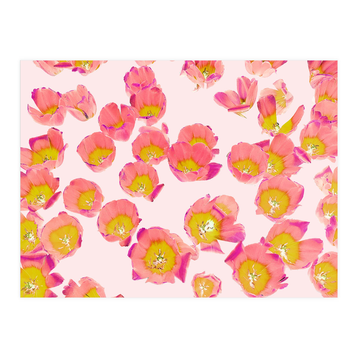 Flower Therapy (Print Only)