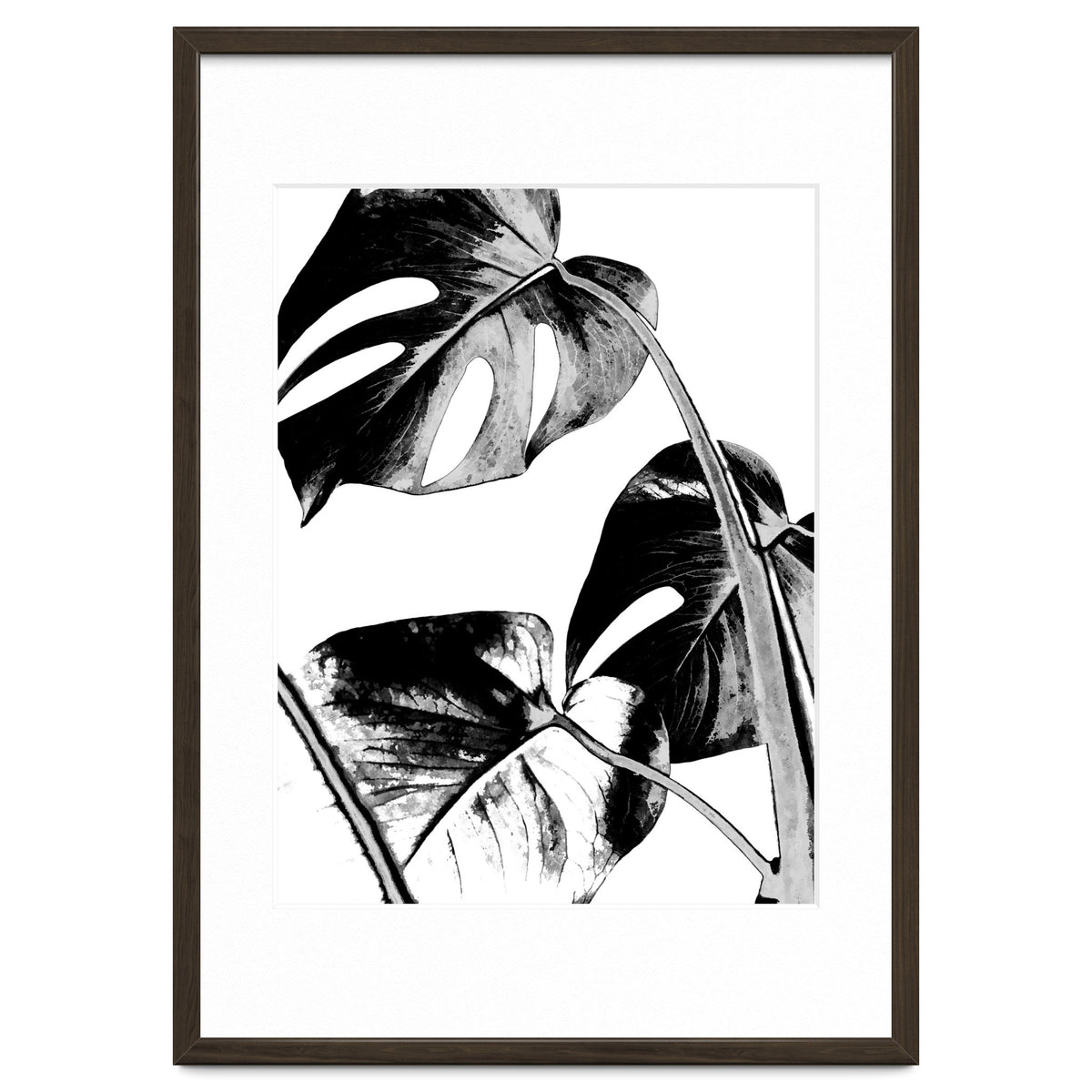 Black Tropical Leaves