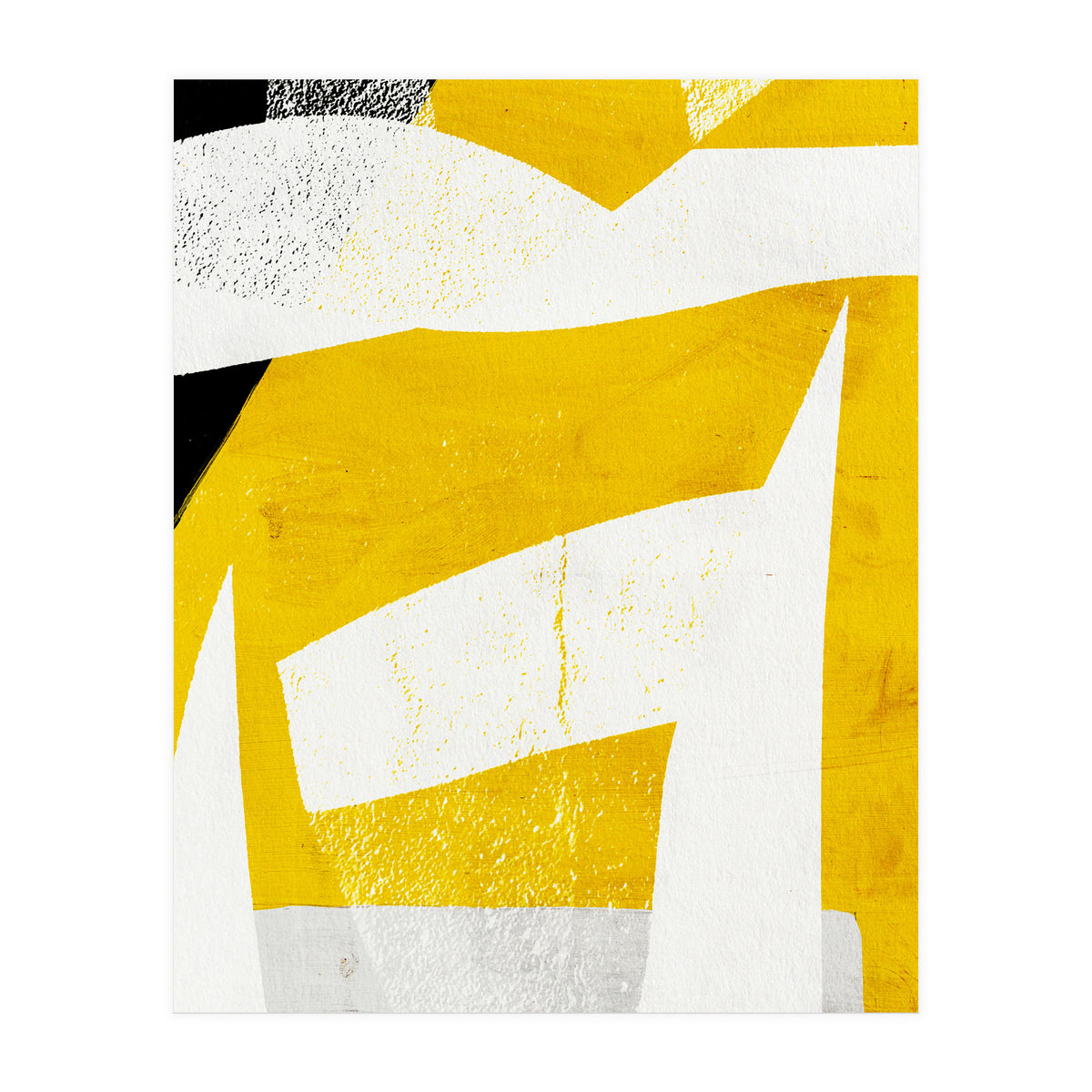 Coiote 3 (Print Only)