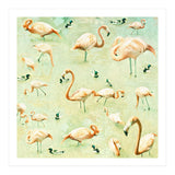 Flamingos (Print Only) thumbnail