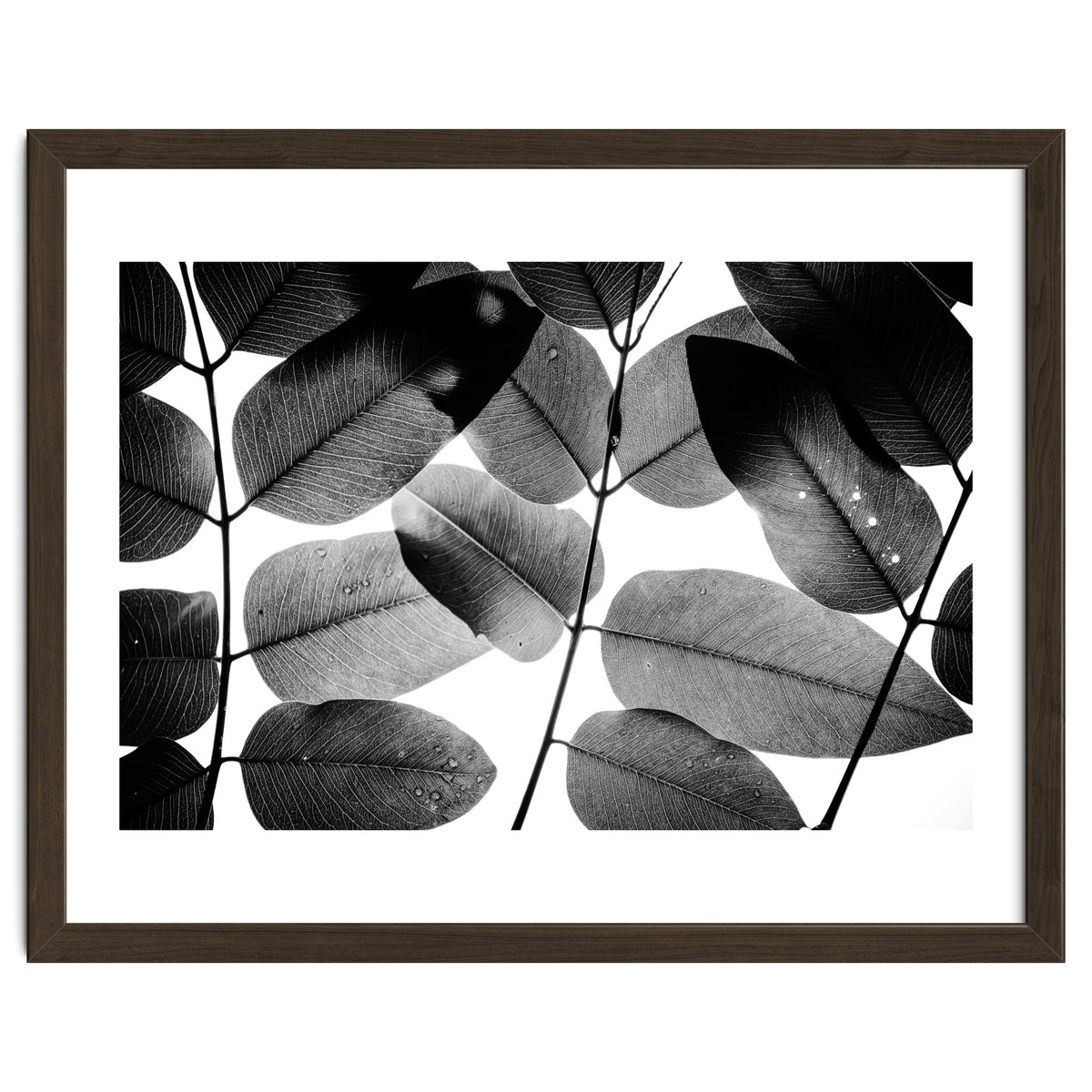 Experiments with Leaves II