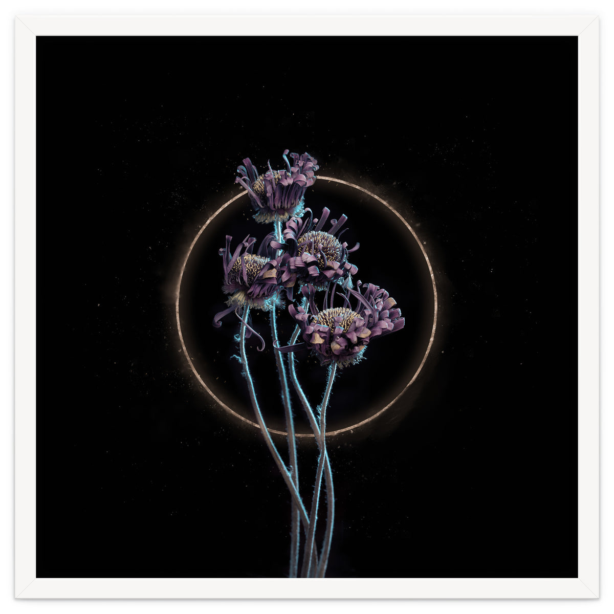 Candy-Coloured Mystery