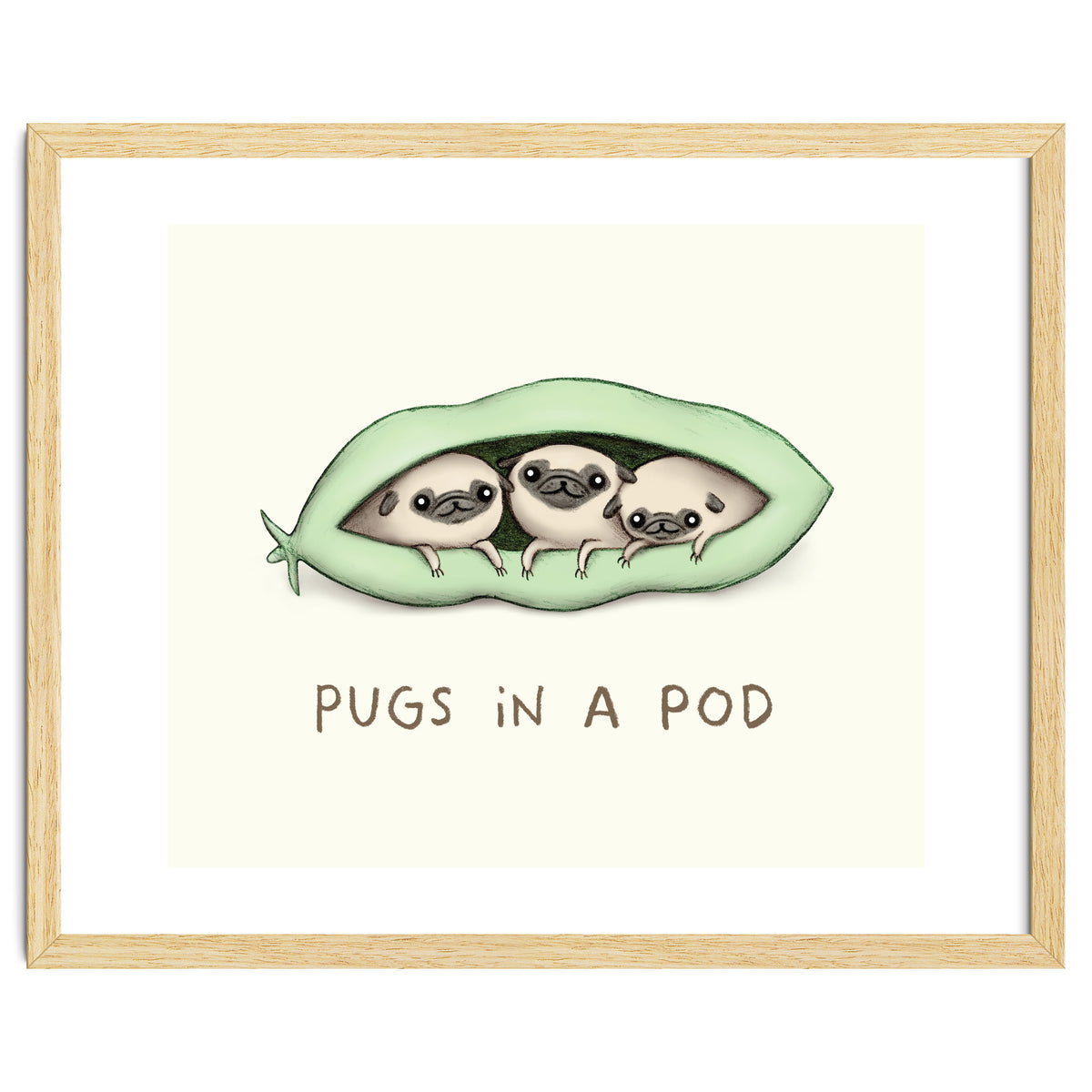 Pugs In A Pod
