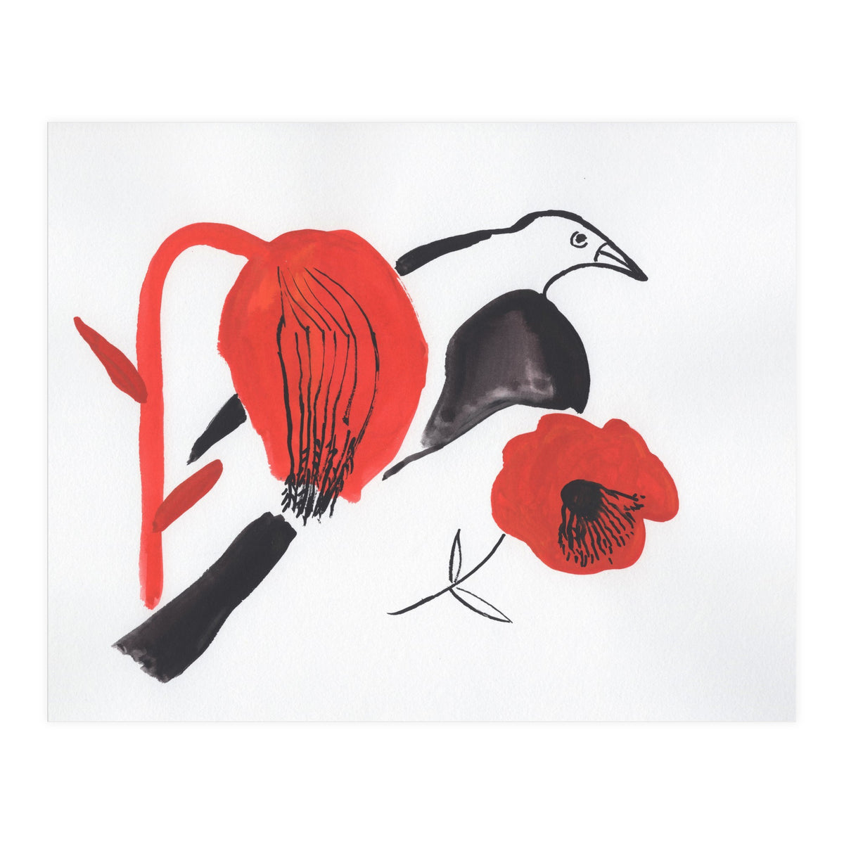 Black Bird And Poppies (Print Only)