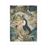 Jungle Toucan (Print Only)